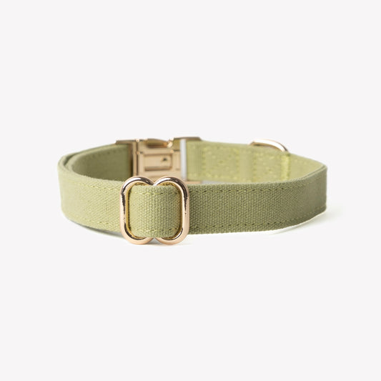Dog Collars 'Green' Canvas Dog Collar Premium Pet Supply - detail view