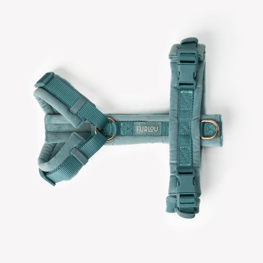 Blue - Velvet Dog Harness - detail view