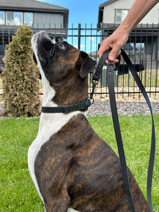 Dog Collar Celtic Sport Midnight Black Leather Leash Essenti - detail product image for dog collar