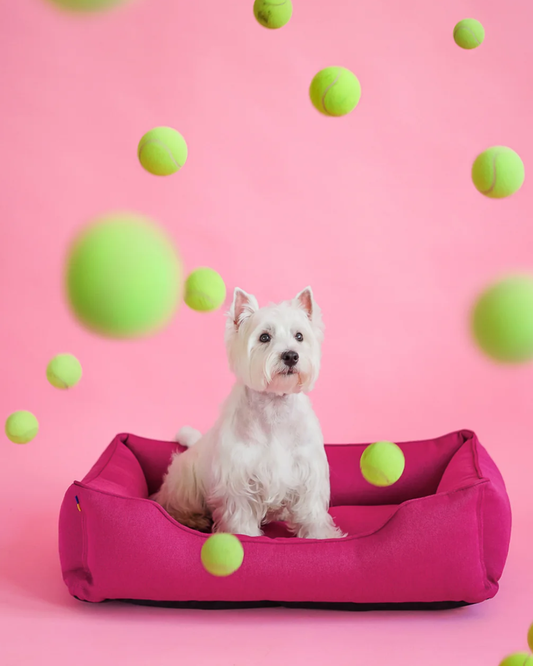 Luxury Dog Bed Cotton Sleeper Berry Pink for Comfort, Suppor - luxury dog bed view 2 for comfort and support