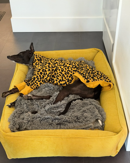 Luxury Dog Bed Fancy Corduroy Sleeper Sunny Yellow for Comfo - luxury dog bed view 2 for comfort and support