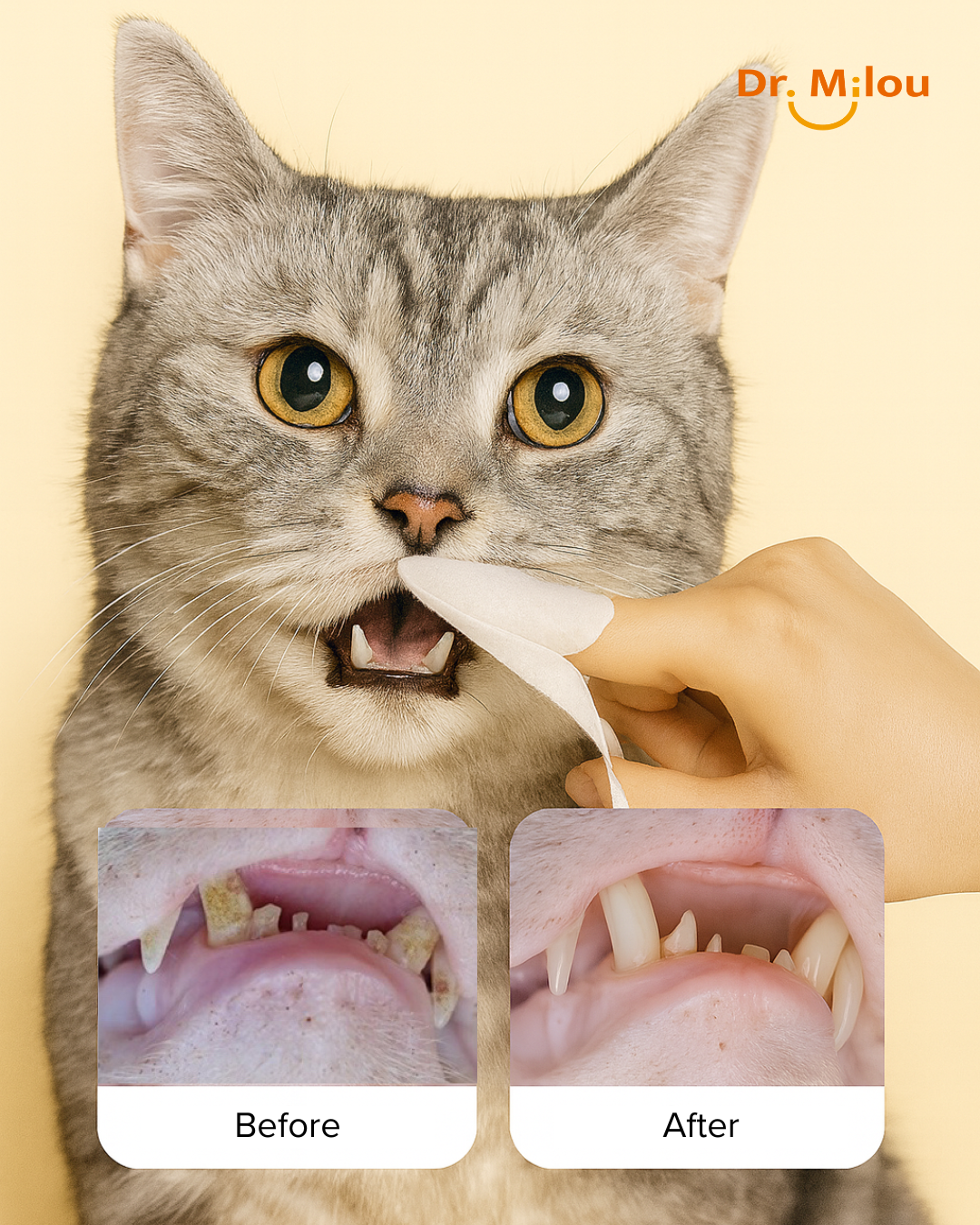 Pet Dental Finger Wipes - Daily Oral Care for Dogs & Cats - gallery image 6