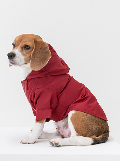 Tribeca Adjustable Velcro Raincoat Burgundy Dog Apparel Pet - detail view