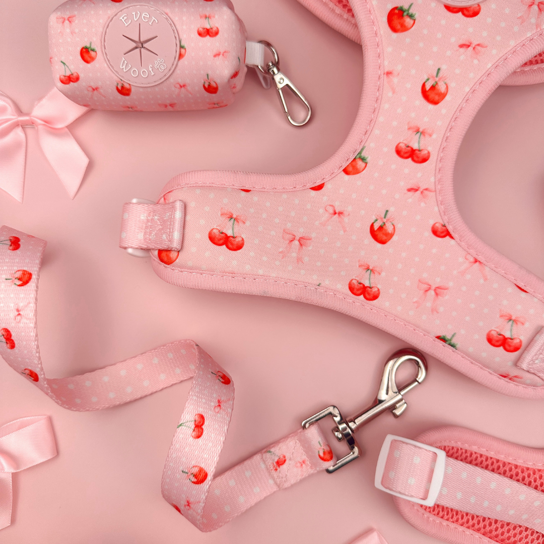 Pet Leash Sweet Chrie Leash for Daily Use for Comfort Essent - detail product image for pet leash