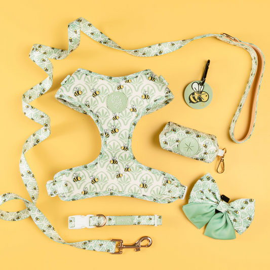 Pet Collar Little Honey Collar for Daily Use for Comfort - detail product image for pet collar