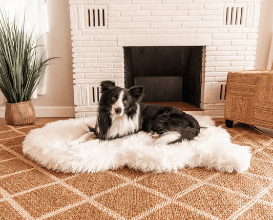 Memory Foam Dog Bed Faux Fur Polar White Orthopedic Comfort - detail view