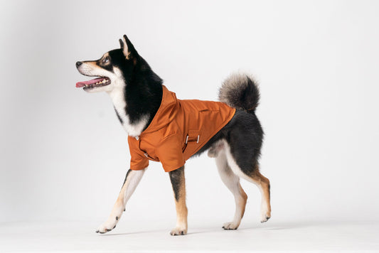 Bowery Raincoat Orange Dog Apparel Premium Pet Supply - detail view