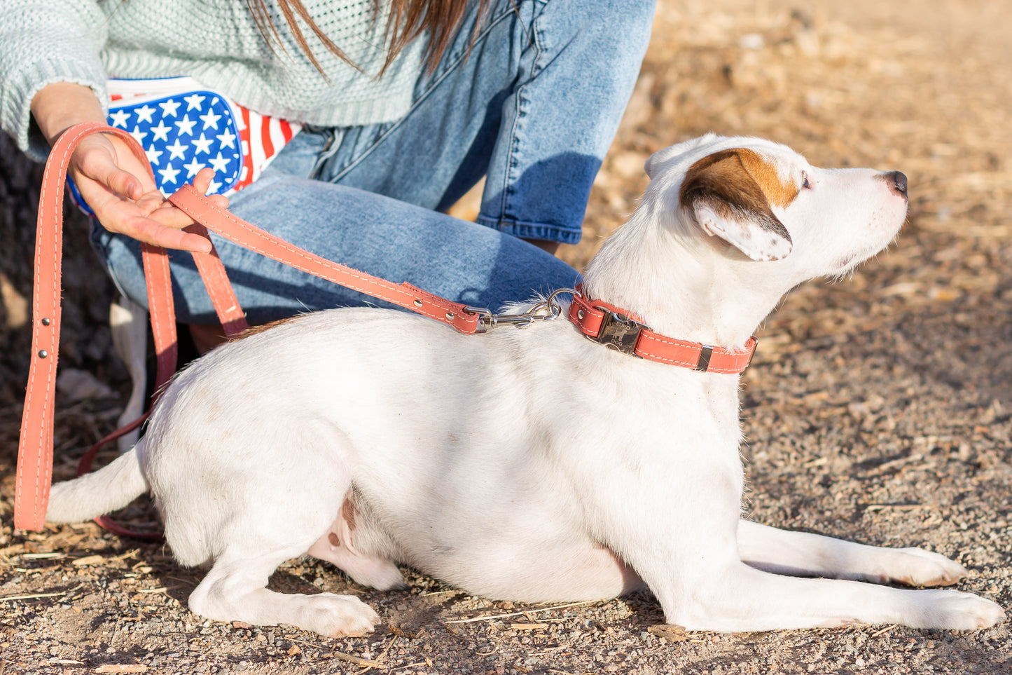 Dog Collar Pro Line Quick-Release Coral Reef Leather Collar - close up product image for dog collar