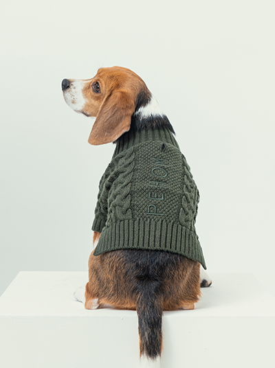 Bert Cardigan Sweater Dark Green Dog Apparel Premium Pet - detail view