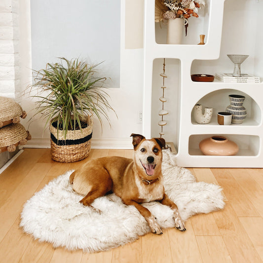 Puprug By Faux Fur Orthopedic Dog Bed Curve White - detail view