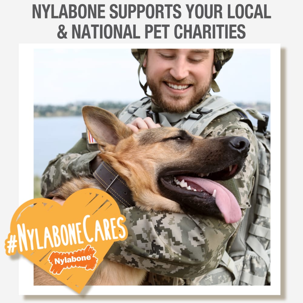 Nylabone Healthy Edibles All Natural Long Lasting Ro 79813 - gallery image 8