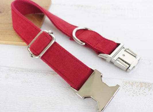 Pet Traction Dog Collar Adjustable Dog Walking Gear Premium - detail view