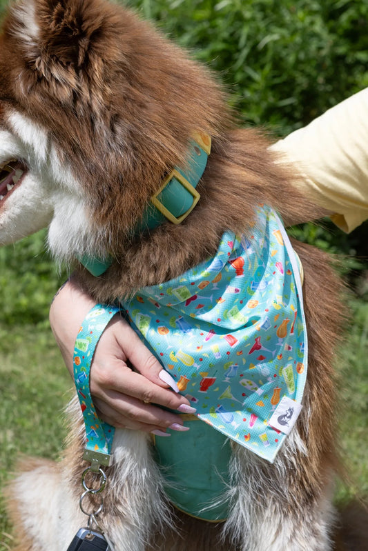 Seaside Sips Dog Bandana Matching Keychain Dog Bandanas Pet - detail view