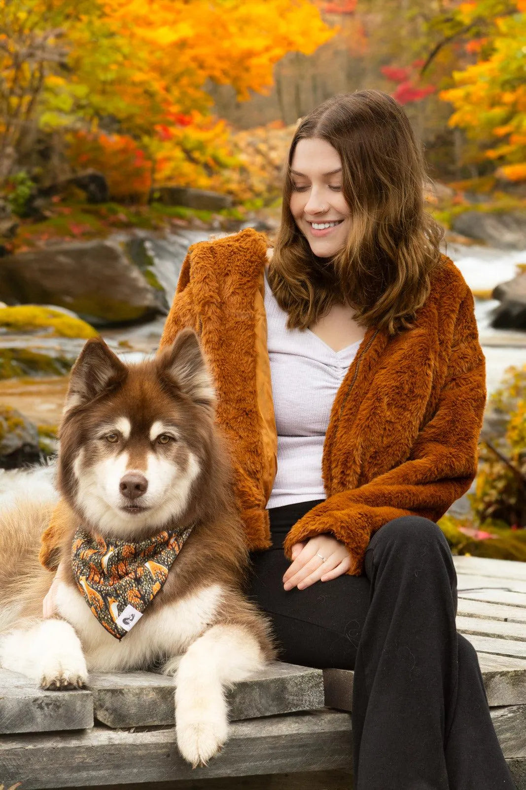 Foxes In Fall Dog Bandana Dog Bandanas Premium Pet Supply - lifestyle view
