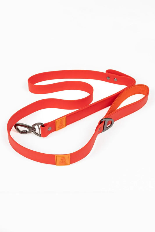 Scarlet Peaks Waterproof Leash Adjustable Dog Walking Gear - detail view
