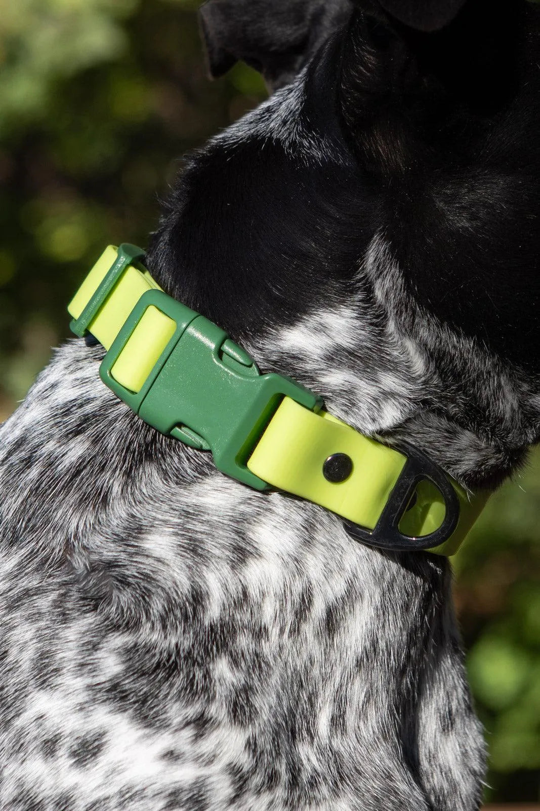 Mossy Pine Waterproof Dog Collar Adjustable Dog Walking Gear - gallery image 5