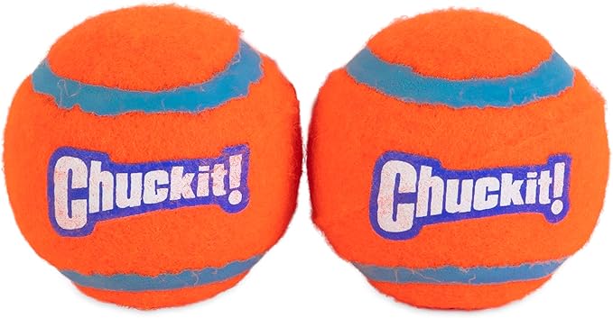 Dog Toy Premium Interactive Chew Play 2 Pack Durable Fun - lifestyle view