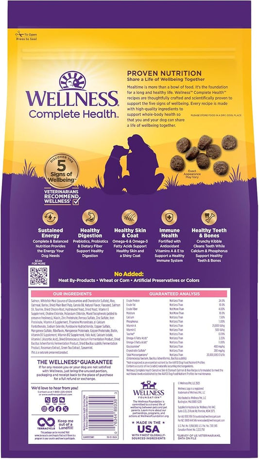 Dry Dog Food Wellness Salmon Recipe Daily Daily Nutrition - detail view