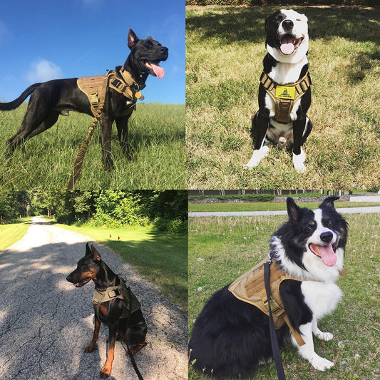Military Tactical Dog Harness German Shepherd Adjustable Pet - detail view