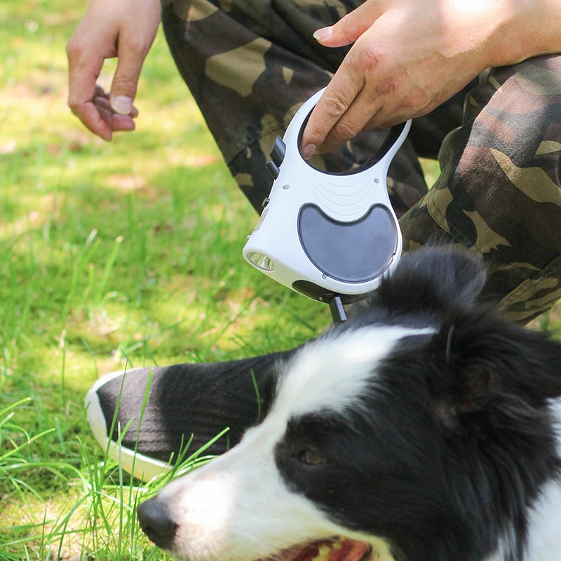 Small And Medium Sized Dog Leash With Light Automatic Dog - gallery image 8
