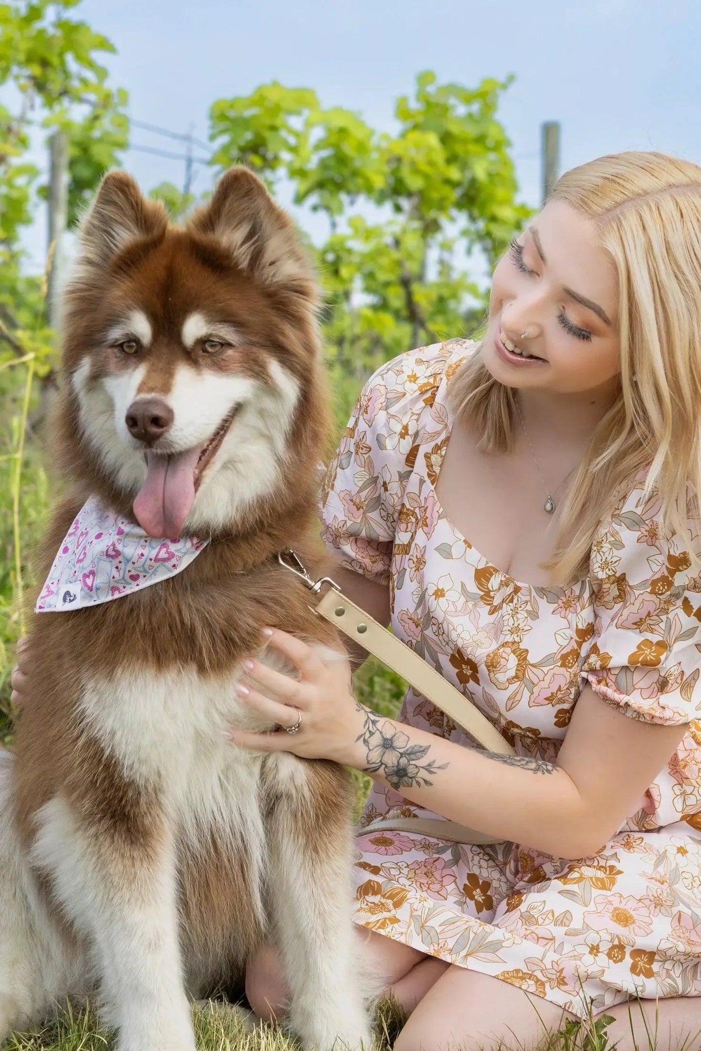 Cheers To Love Dog Bandana Dog Bandanas Premium Pet Supply - lifestyle view