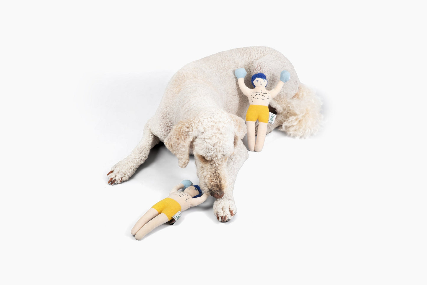 Champ Rocky Nose Work Dog Toy / Enrichment Toy - lifestyle view