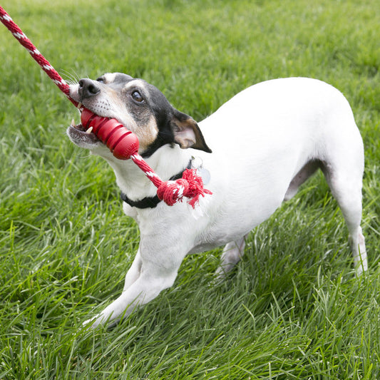 KONG Dental W Rope Medium Durable Chew Dog Toy Durable Play - detail view