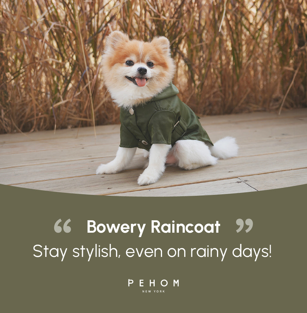 Bowery Raincoat Green Dog Apparel Premium Pet Supply Premium - gallery image 16