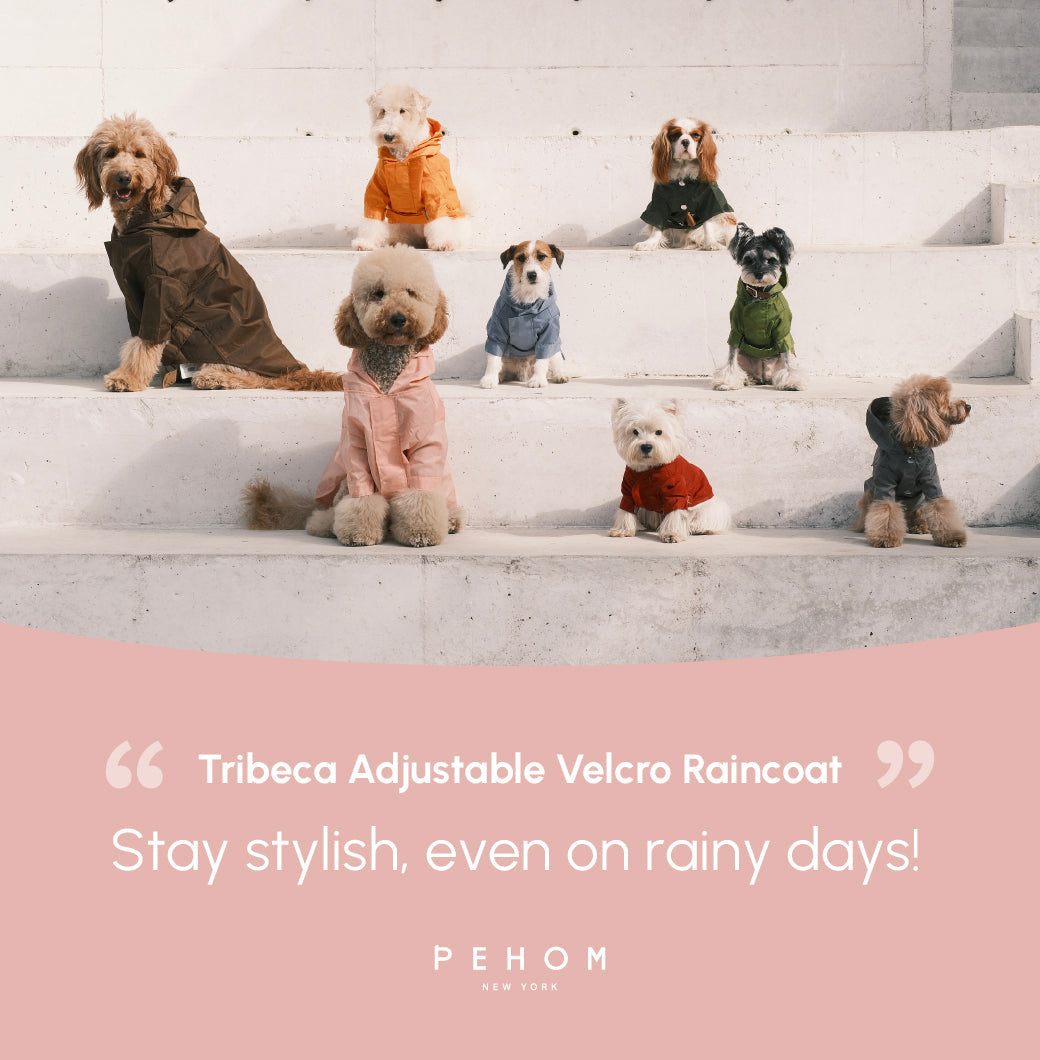 Dog Apparel Active Outdoor Wear Adjustable Pink Comfort - gallery image 19