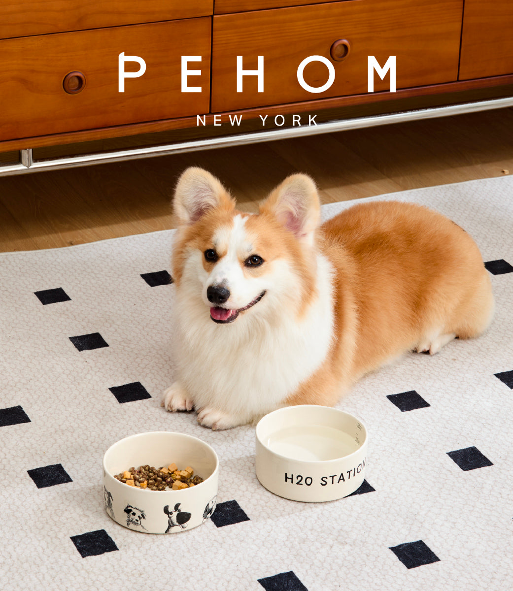 Derpy Bowl Pet Feeding Hydration Supply Premium - gallery image 14