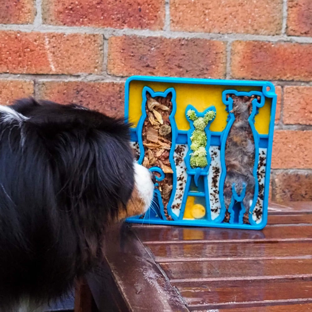 Waiting Dogs Etray Shallow Slow Feeder Bowl For Enrichment - gallery image 11