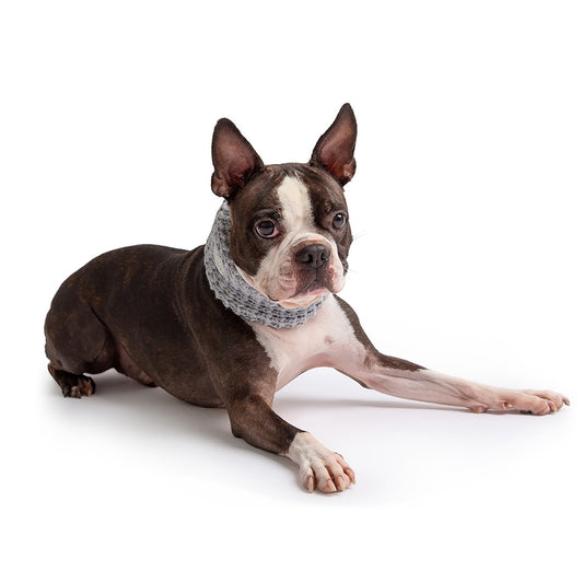 Chalet Tube Scarf Heather Grey Dog Apparel Premium Pet - detail view