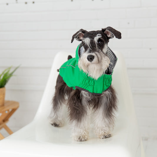 Reversible Elasto Fit Raincoat Green Dog Apparel Premium Pet - detail view