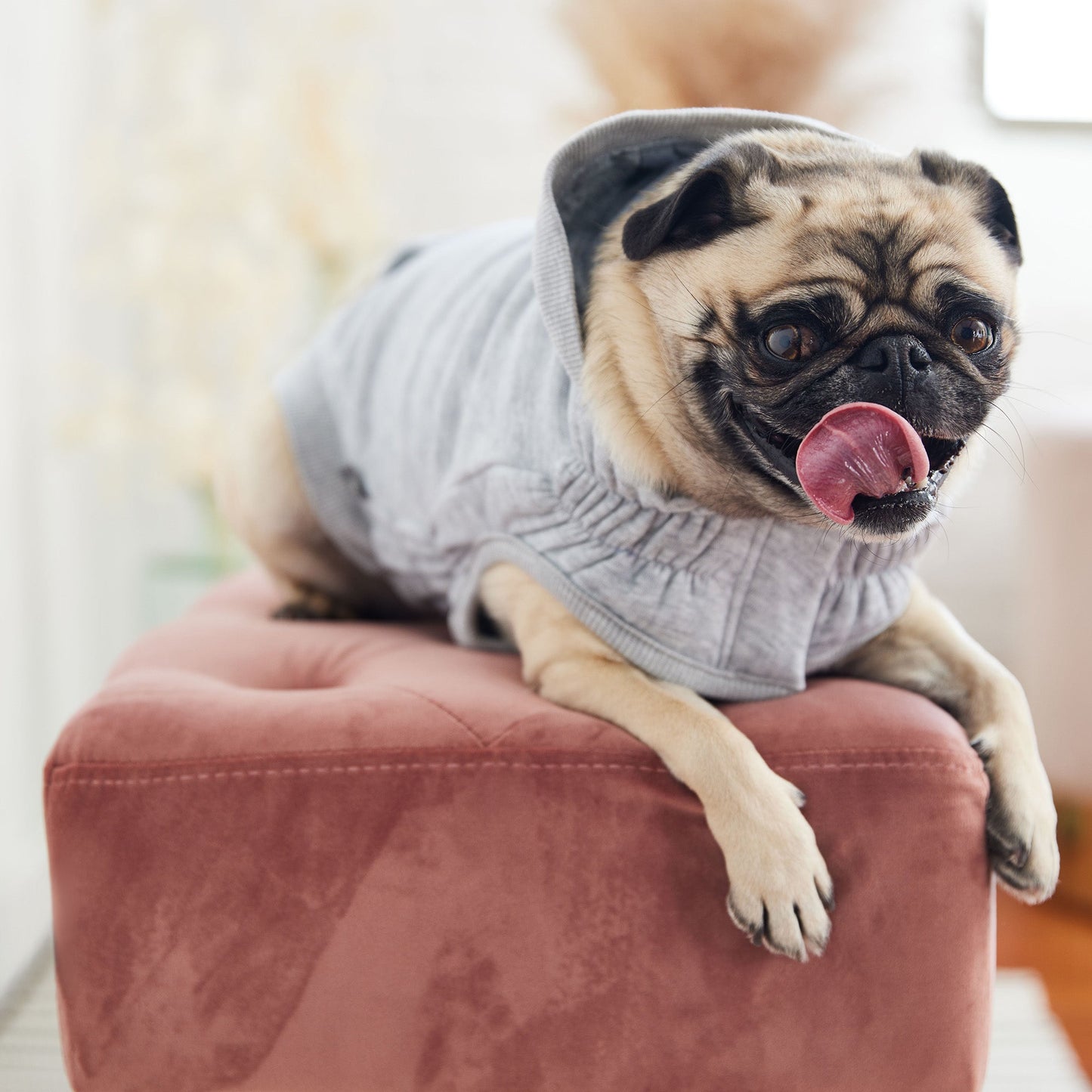 Urban Hoodie Heather Grey Dog Hoodies Premium Pet Supply - close up view