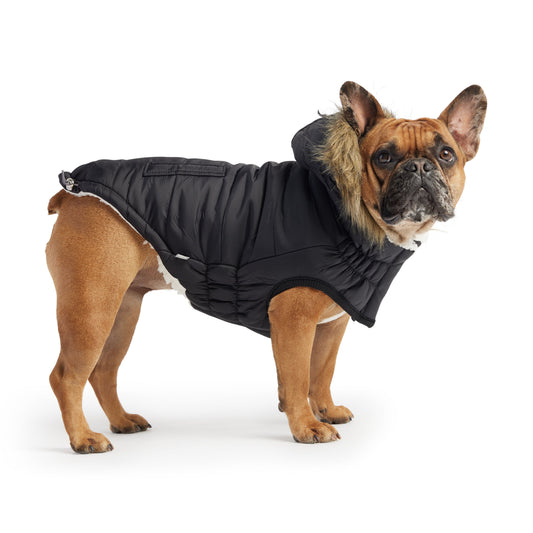 Urban Parka Black Dog Jackets Premium Pet Supply Premium - detail view