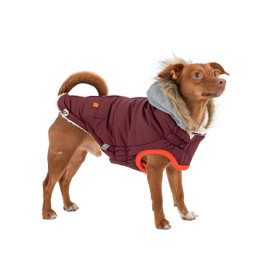 Winter Sailor Parka Burgundy Dog Jackets Premium Pet Supply - detail view