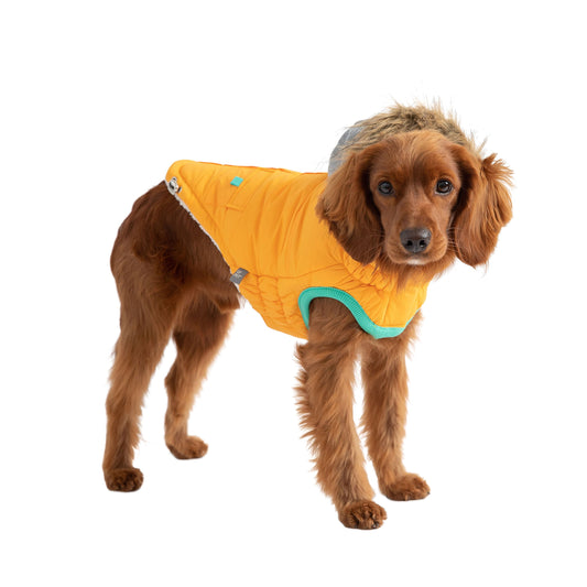 Winter Sailor Parka Yellow Dog Apparel Premium Pet Supply - detail view