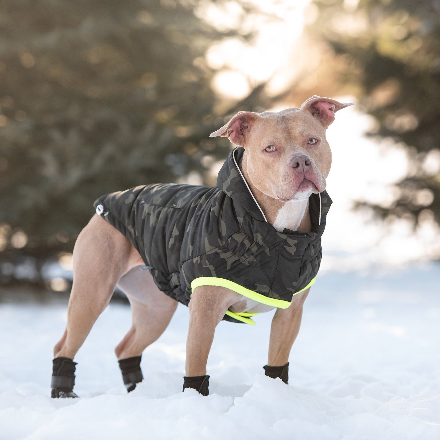 Recycled Parka Camouflage Dog Jackets Premium Pet Supply - gallery image 7