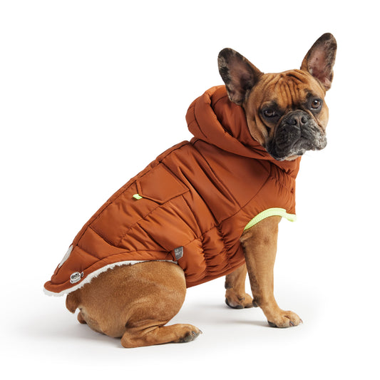The Puff Parka Hazel Dog Apparel Premium Pet Supply Premium - detail view