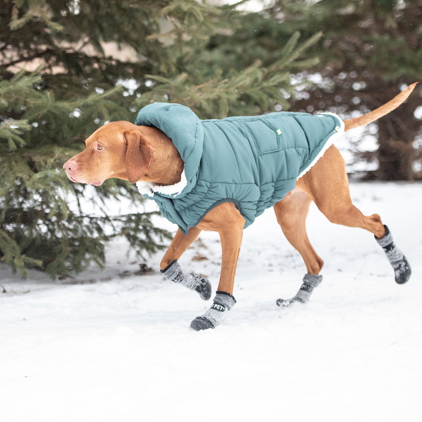The Puff Parka Teal Dog Apparel Premium Pet Supply Premium - gallery image 5