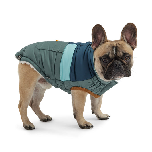 Camplife Puffer Sage Dog Apparel Premium Pet Supply Premium - detail view