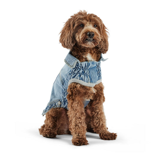 Denim Jacket All Season Light Wash Dog Jackets Premium Pet - detail view