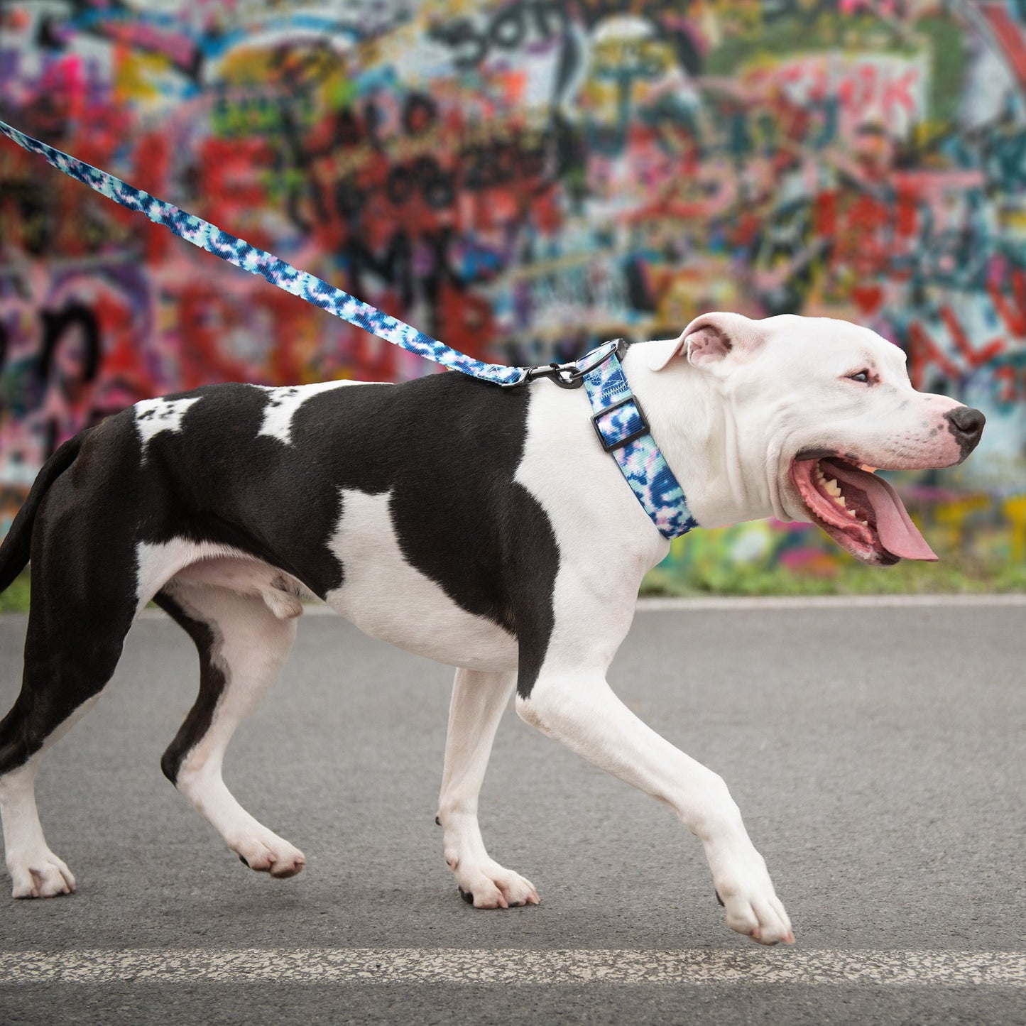Dog Leash Durable Walking Lead Adjustable Tie Dye Premium - close up view