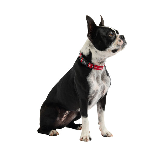 Dog Collar Adjustable Everyday Wear Adjustable Red Premium - detail view