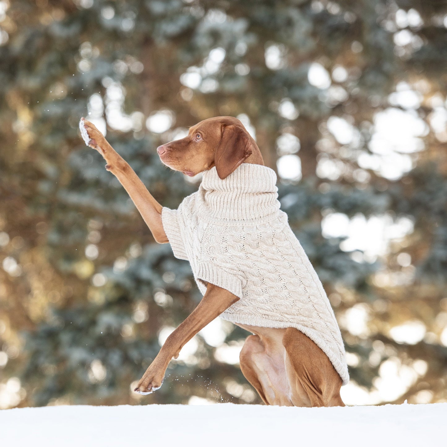 Chalet Sweater Oatmeal Dog Sweaters Premium Pet Supply - gallery image 5