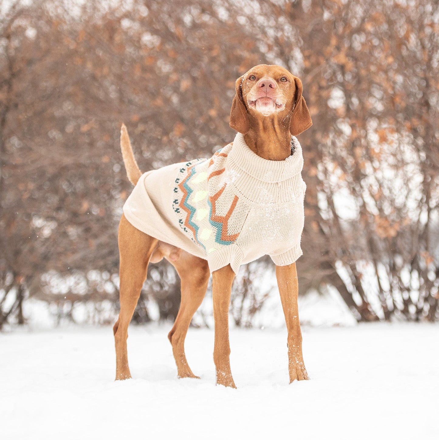 Heritage Sweater Sand Dog Apparel Premium Pet Supply Premium - gallery image 5