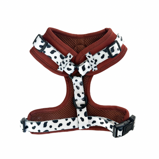 Pet Harness Spotted Ember Adjustable Harness for Daily Use - detail product image for pet harness