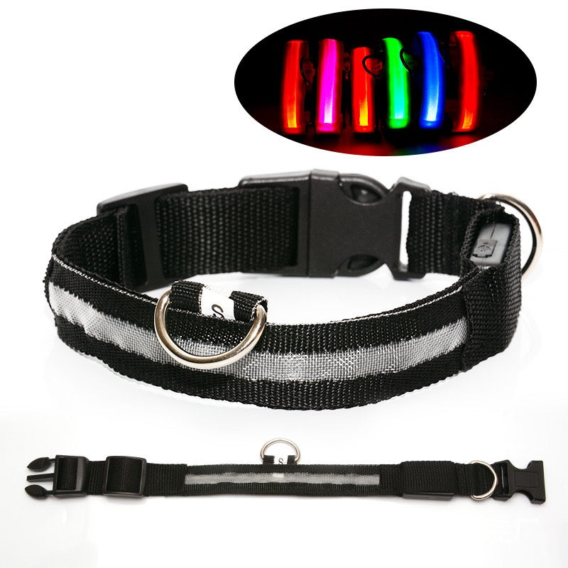 LED Glowing Pet Collar - Rainbow - lifestyle view