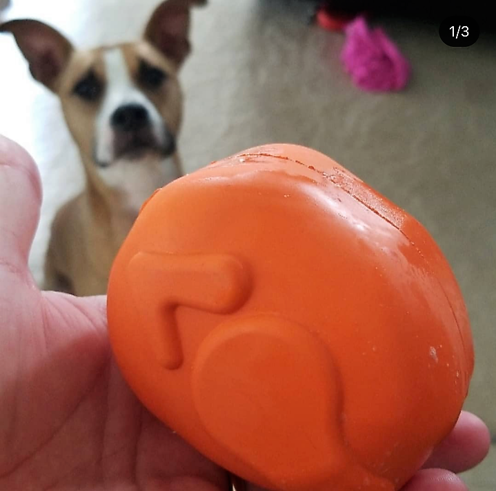Roasted Turkey Dog Chew Toy Treat Dispenser USA Made Sodapup - gallery image 10