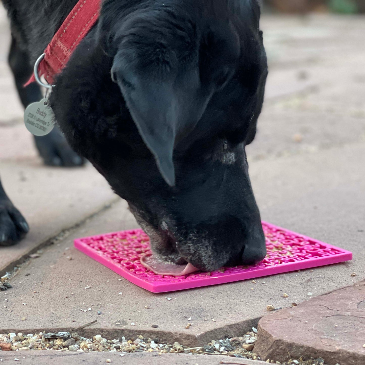 Jigsaw Puzzle Emat Enrichment Lick Mat For Dogs And Cats Toy - gallery image 9